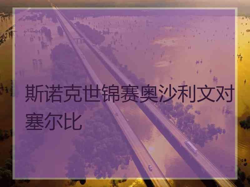 斯诺克世锦赛奥沙利文对塞尔比