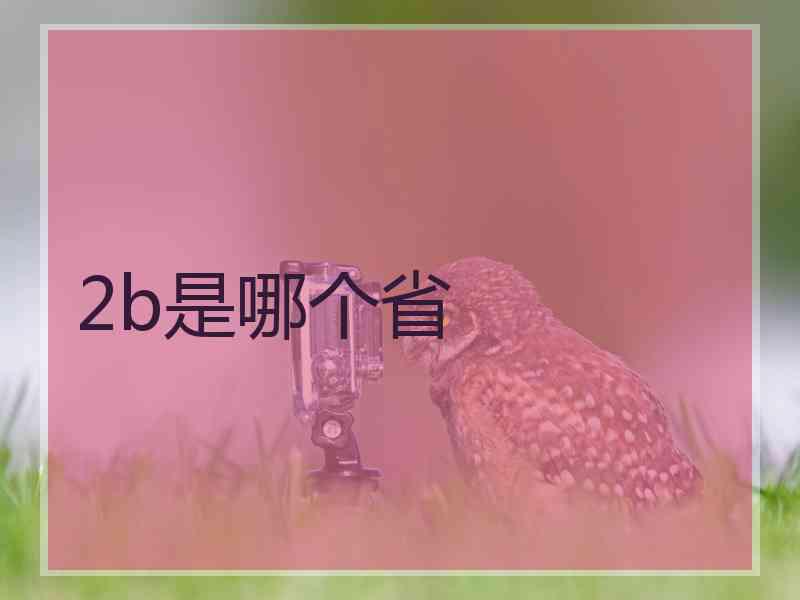 2b是哪个省