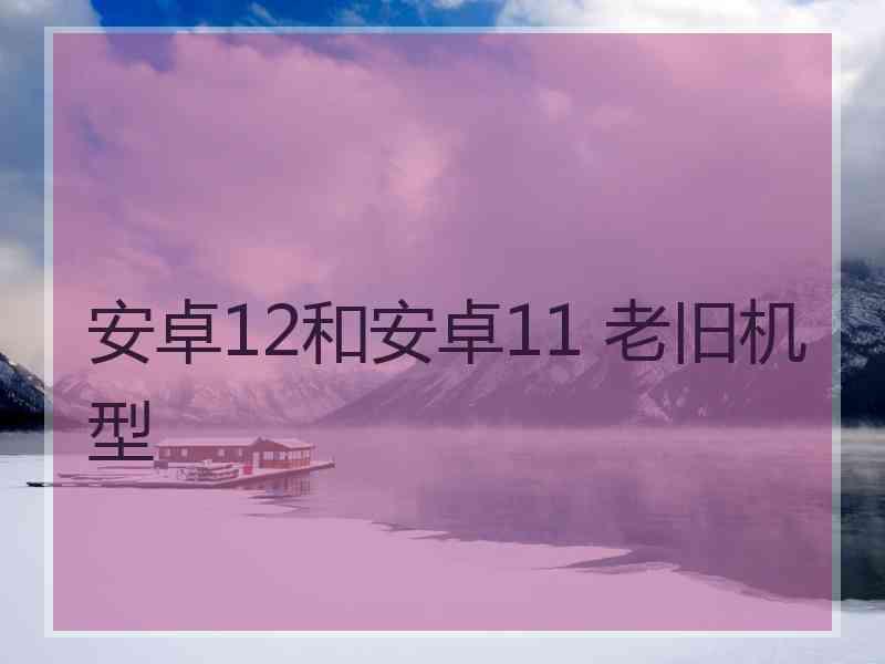 安卓12和安卓11 老旧机型