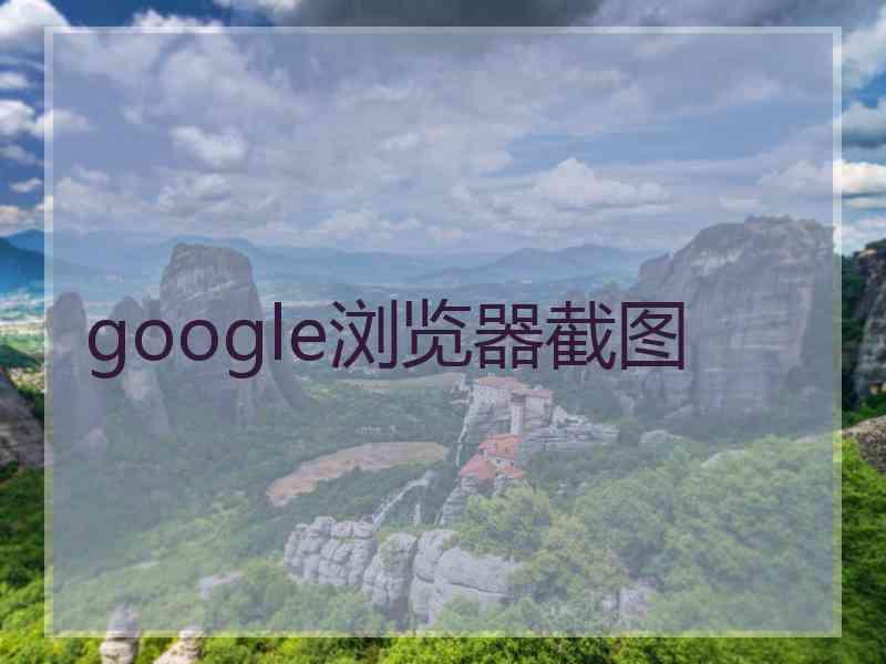 google浏览器截图