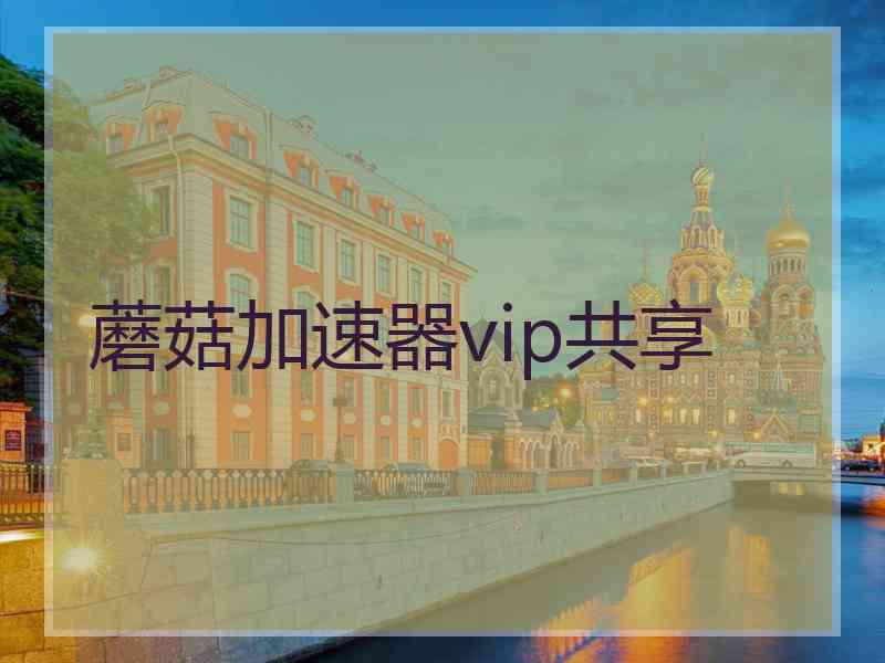 蘑菇加速器vip共享