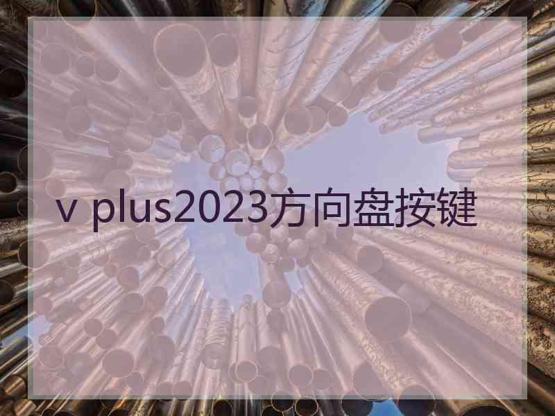 v plus2023方向盘按键