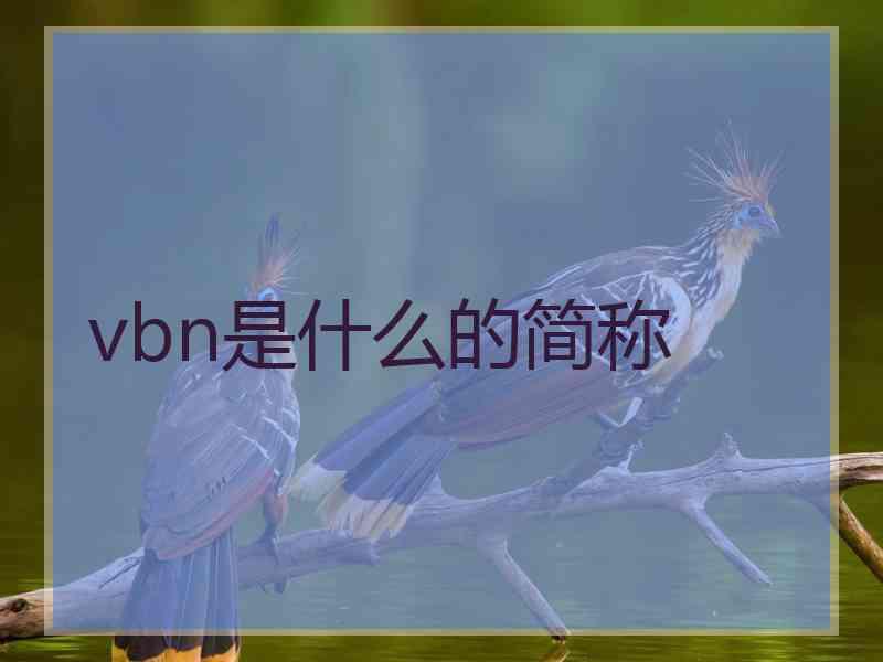 vbn是什么的简称