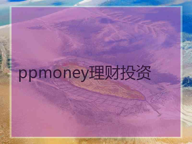 ppmoney理财投资