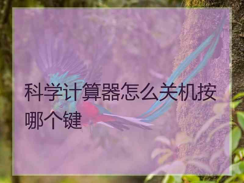 科学计算器怎么关机按哪个键