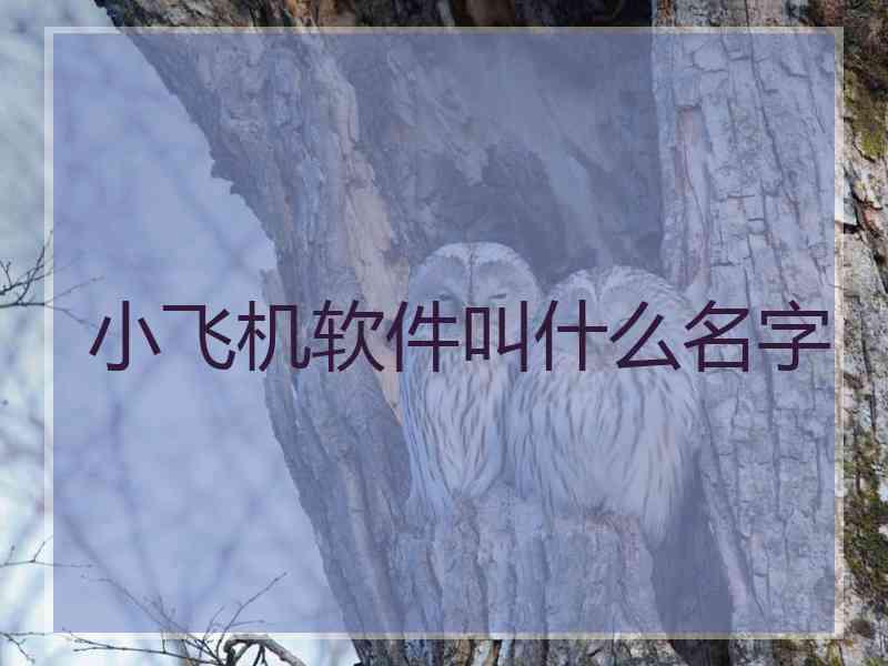 小飞机软件叫什么名字