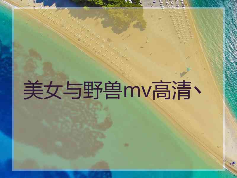 美女与野兽mv高清丶