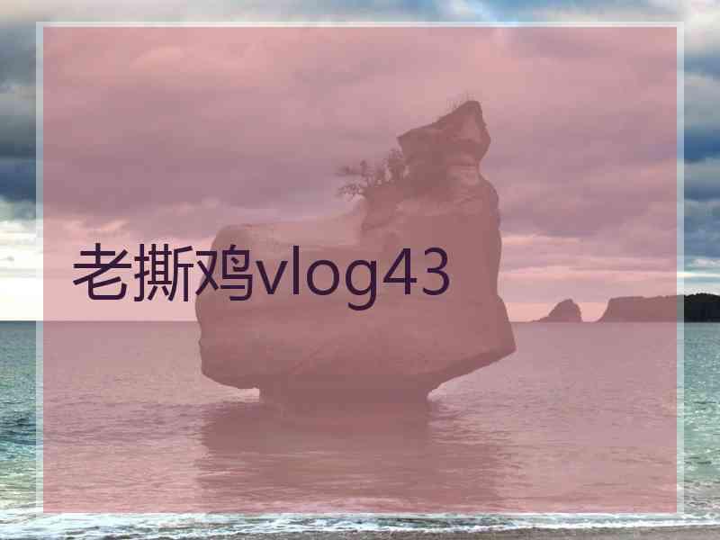 老撕鸡vlog43