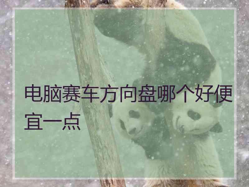 电脑赛车方向盘哪个好便宜一点