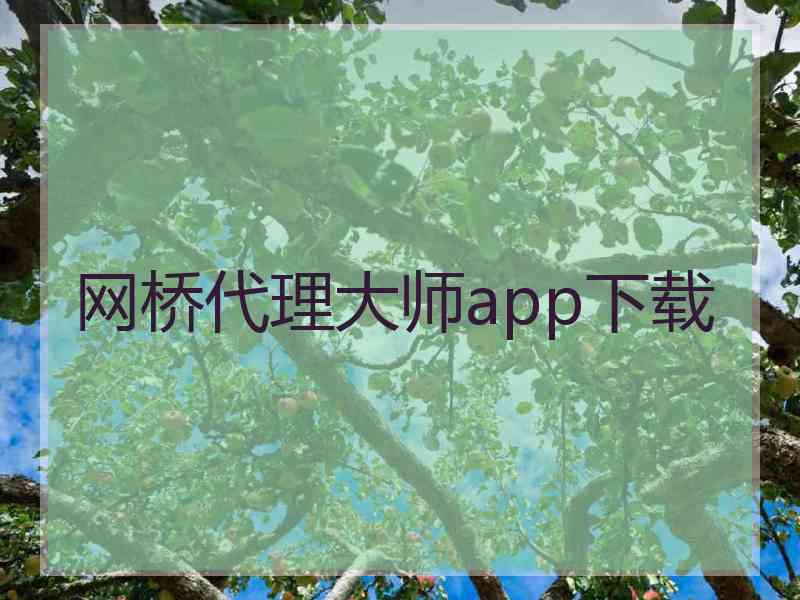 网桥代理大师app下载