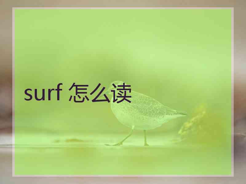 surf 怎么读