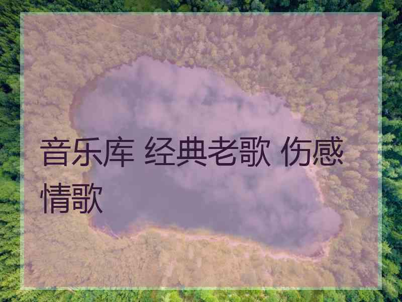 音乐库 经典老歌 伤感情歌