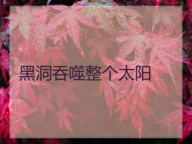 黑洞吞噬整个太阳