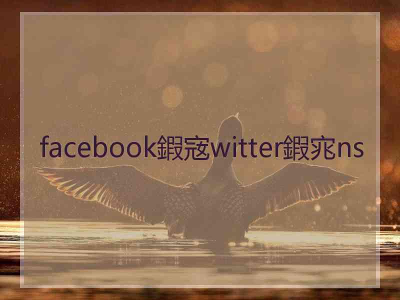 facebook鍜宼witter鍜宨ns