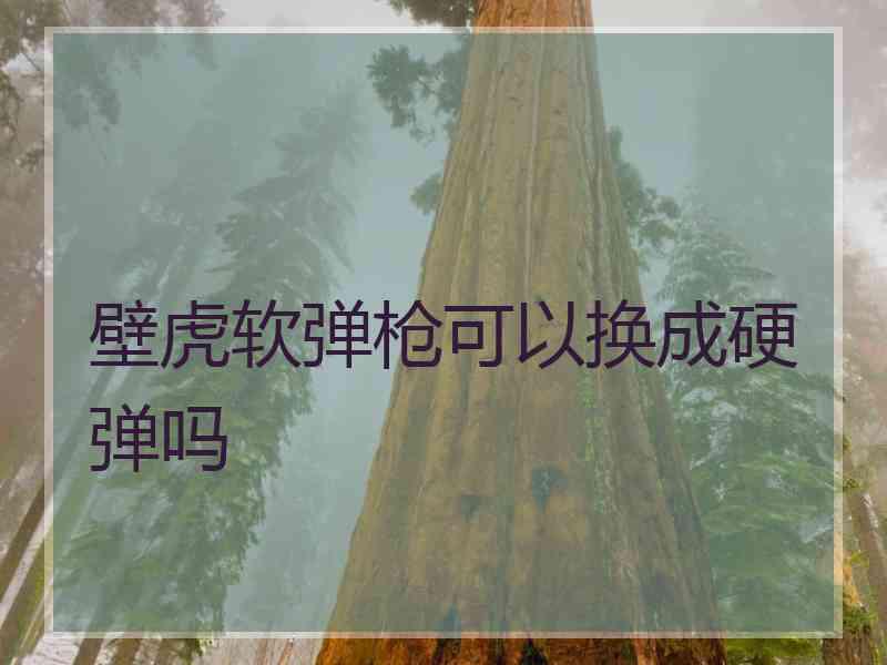 壁虎软弹枪可以换成硬弹吗