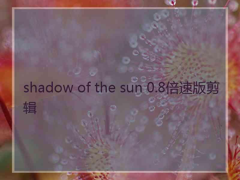 shadow of the sun 0.8倍速版剪辑