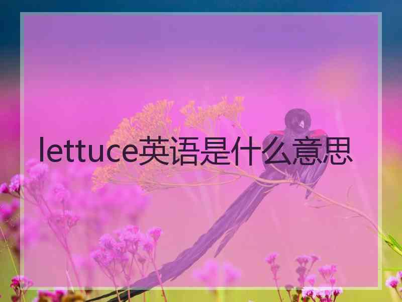 lettuce英语是什么意思