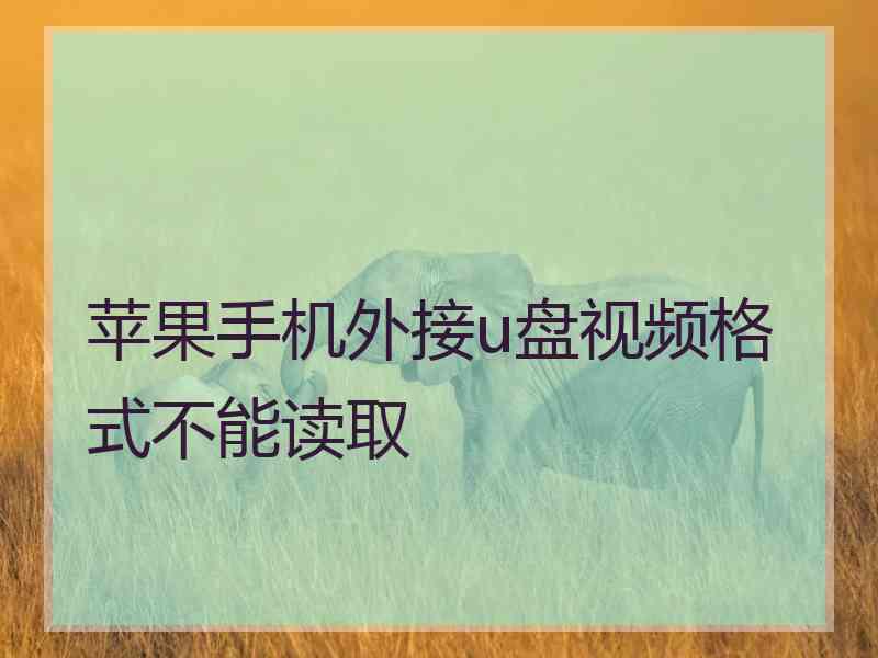 苹果手机外接u盘视频格式不能读取