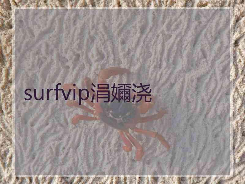 surfvip涓嬭浇