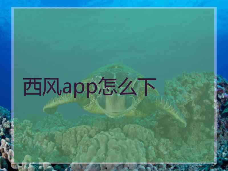 西风app怎么下