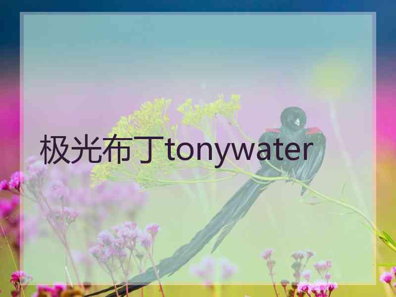 极光布丁tonywater