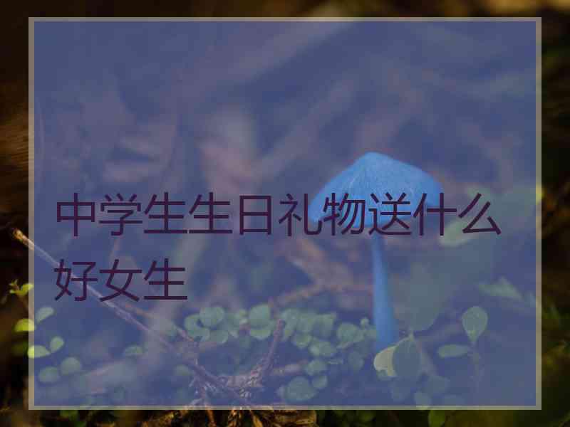 中学生生日礼物送什么好女生