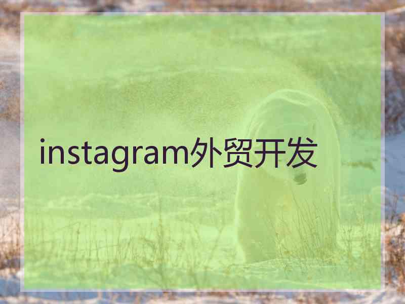 instagram外贸开发