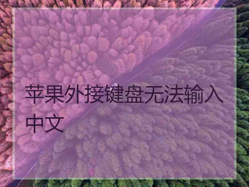 苹果外接键盘无法输入中文