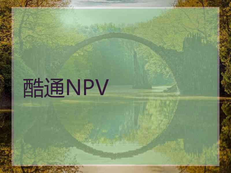 酷通NPV