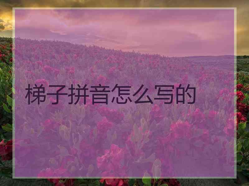 梯子拼音怎么写的