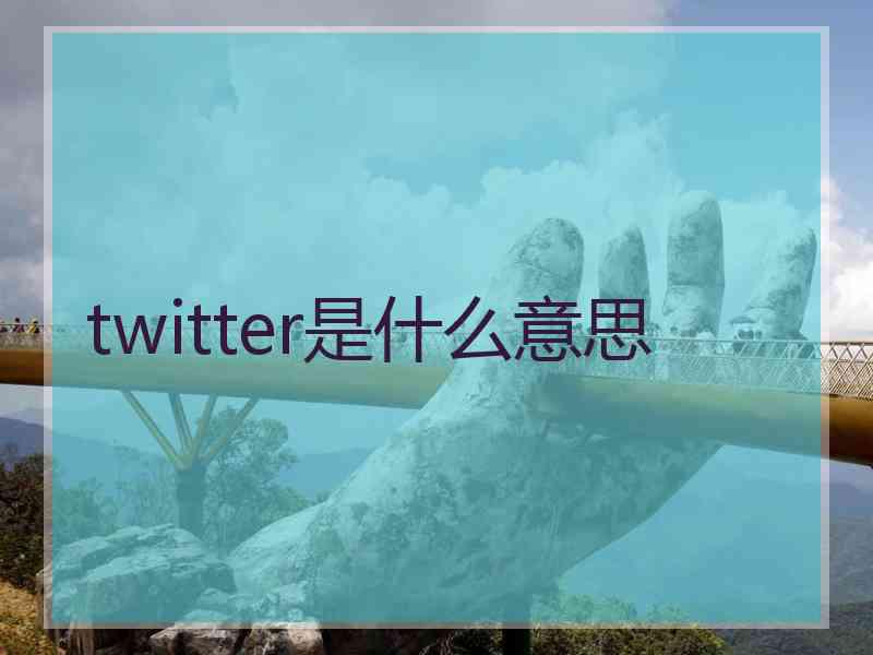 twitter是什么意思