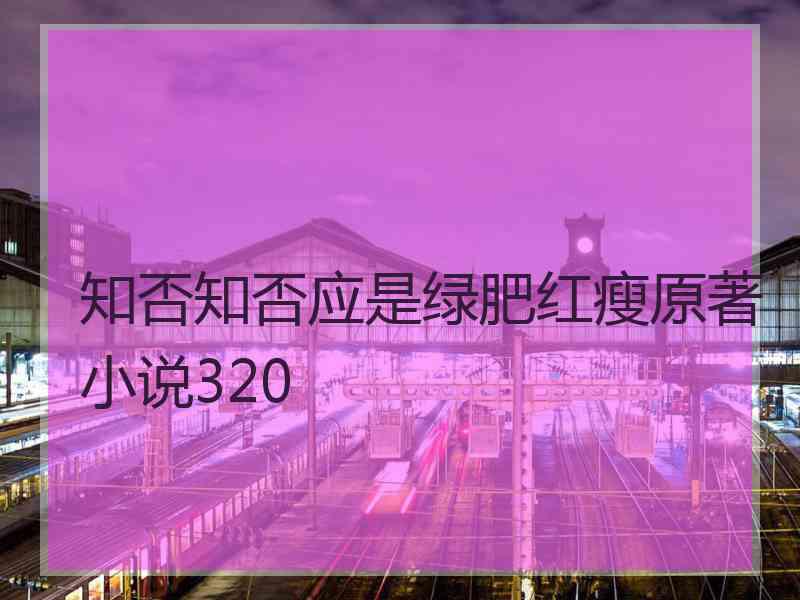 知否知否应是绿肥红瘦原著小说320