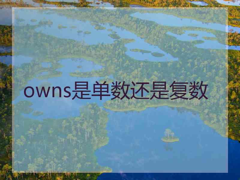 owns是单数还是复数