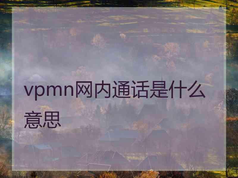 vpmn网内通话是什么意思