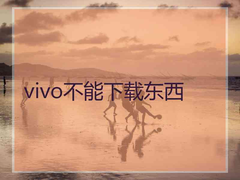 vivo不能下载东西