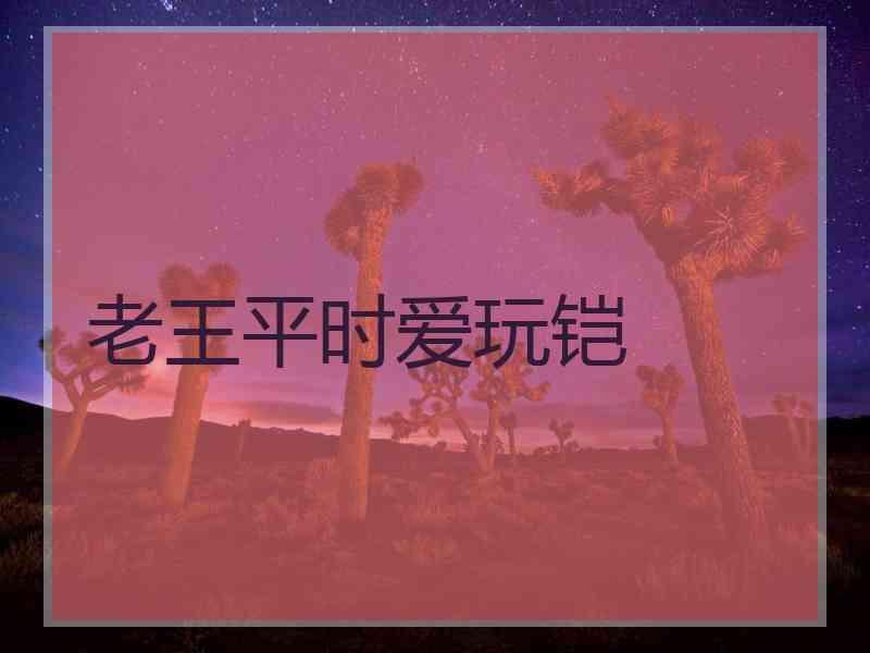 老王平时爱玩铠