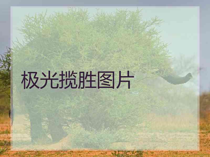 极光揽胜图片