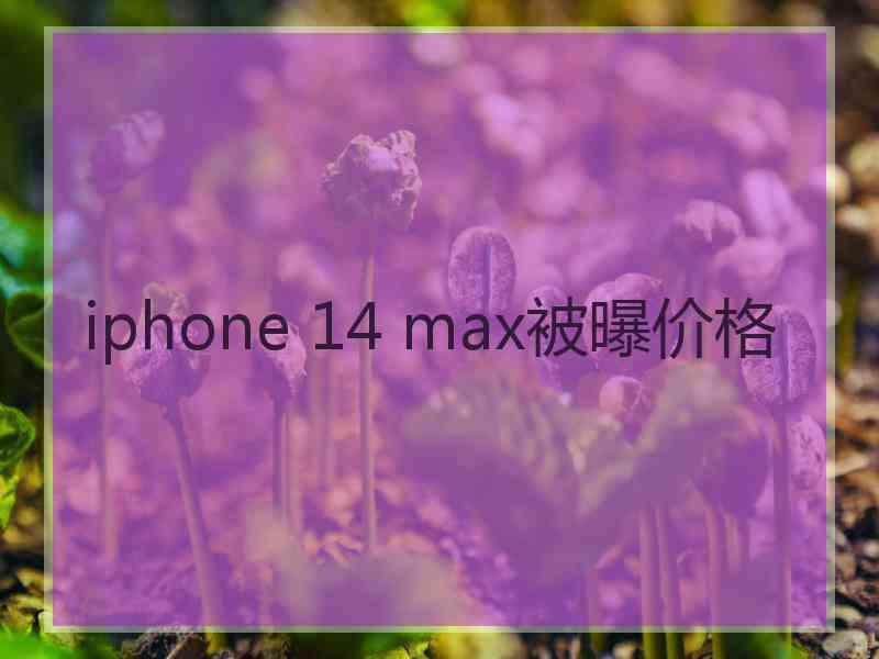 iphone 14 max被曝价格