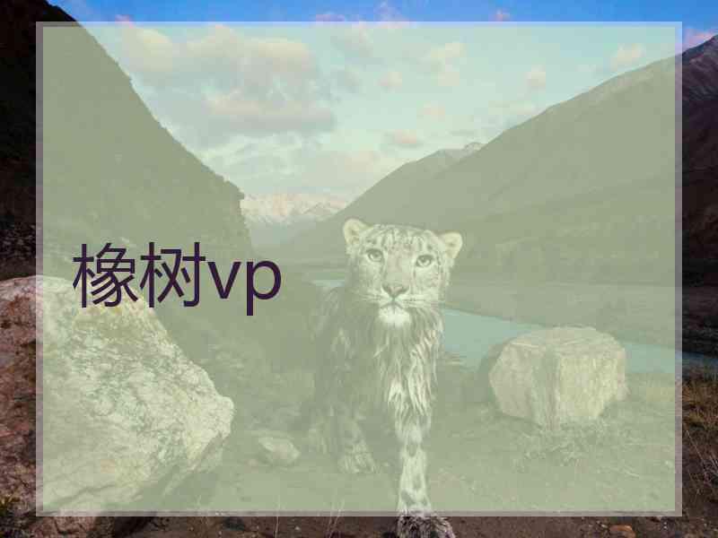 橡树vp