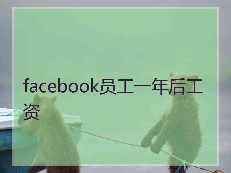 facebook员工一年后工资