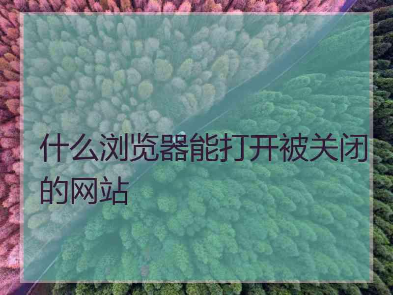 什么浏览器能打开被关闭的网站