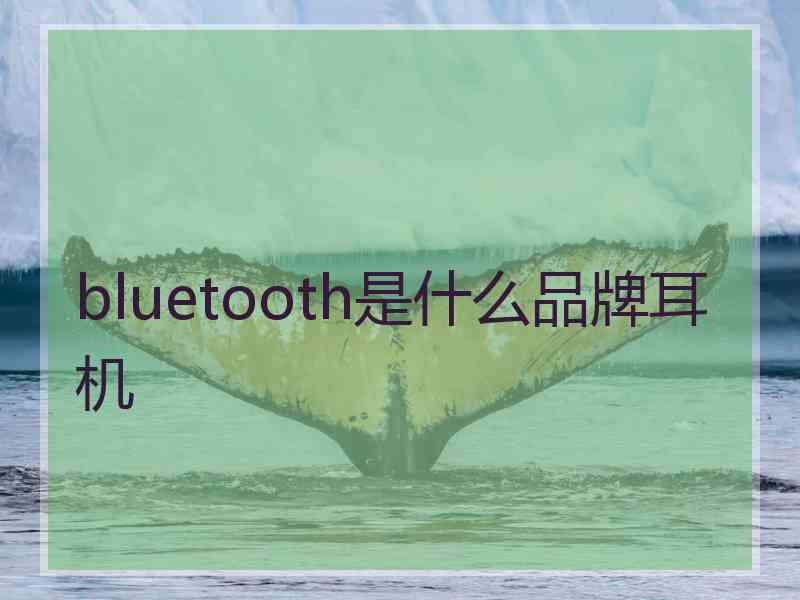 bluetooth是什么品牌耳机