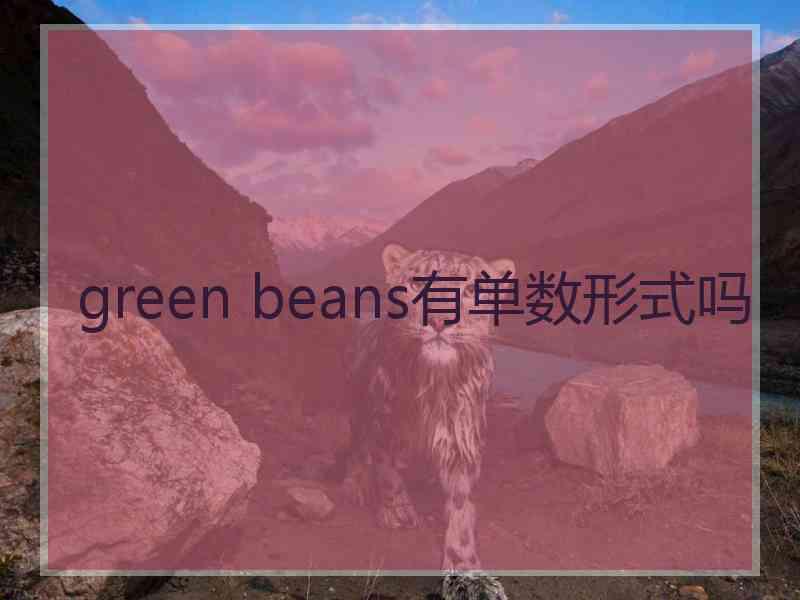 green beans有单数形式吗