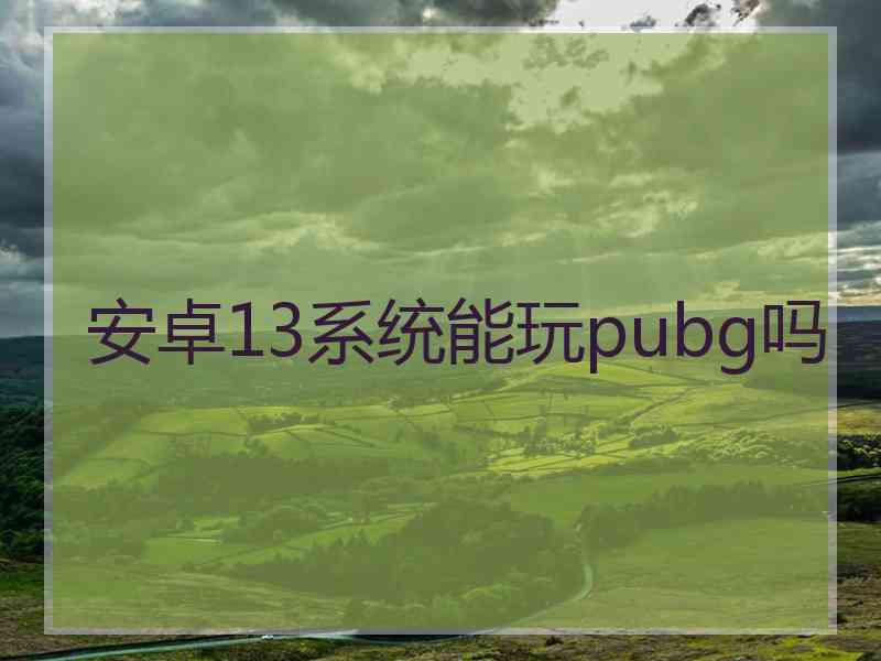 安卓13系统能玩pubg吗