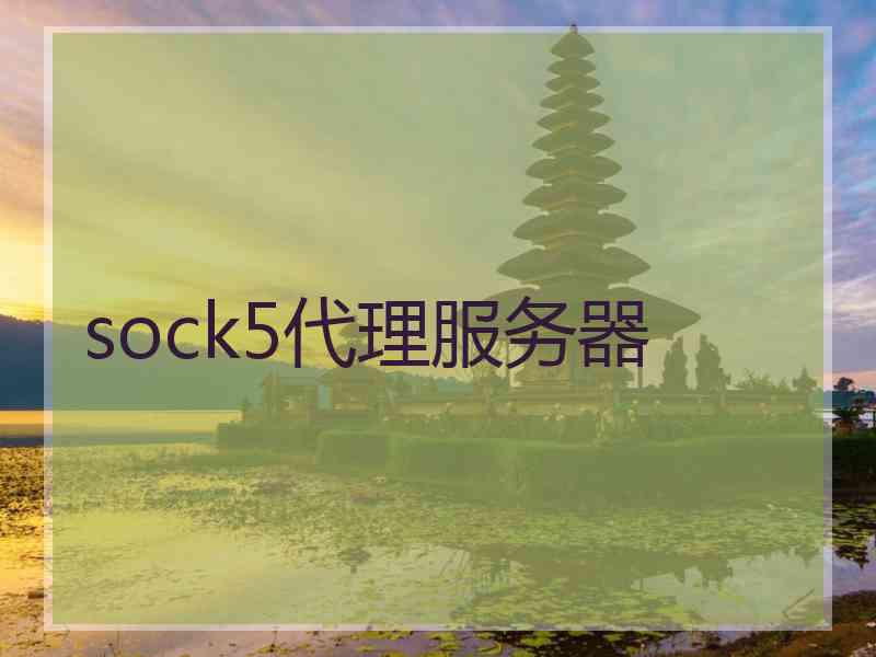 sock5代理服务器