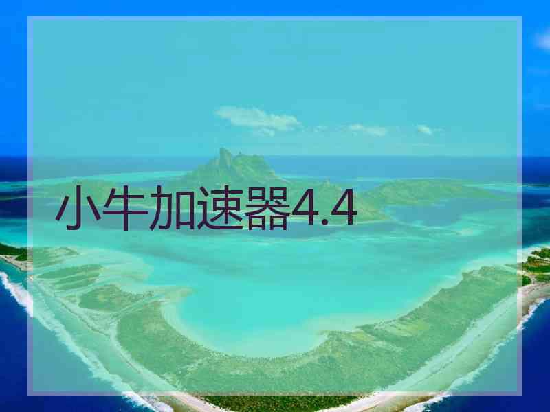 小牛加速器4.4