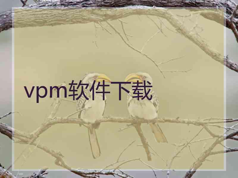 vpm软件下载