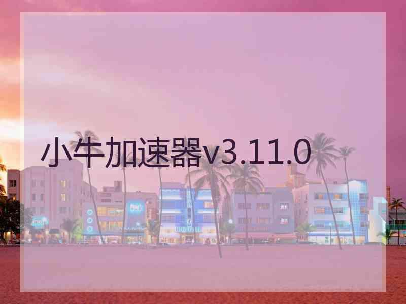 小牛加速器v3.11.0