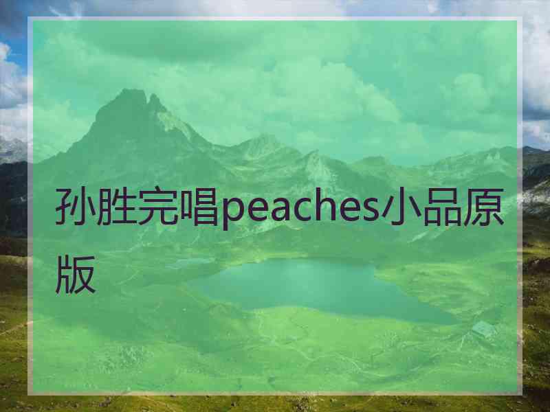 孙胜完唱peaches小品原版