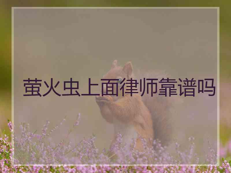 萤火虫上面律师靠谱吗